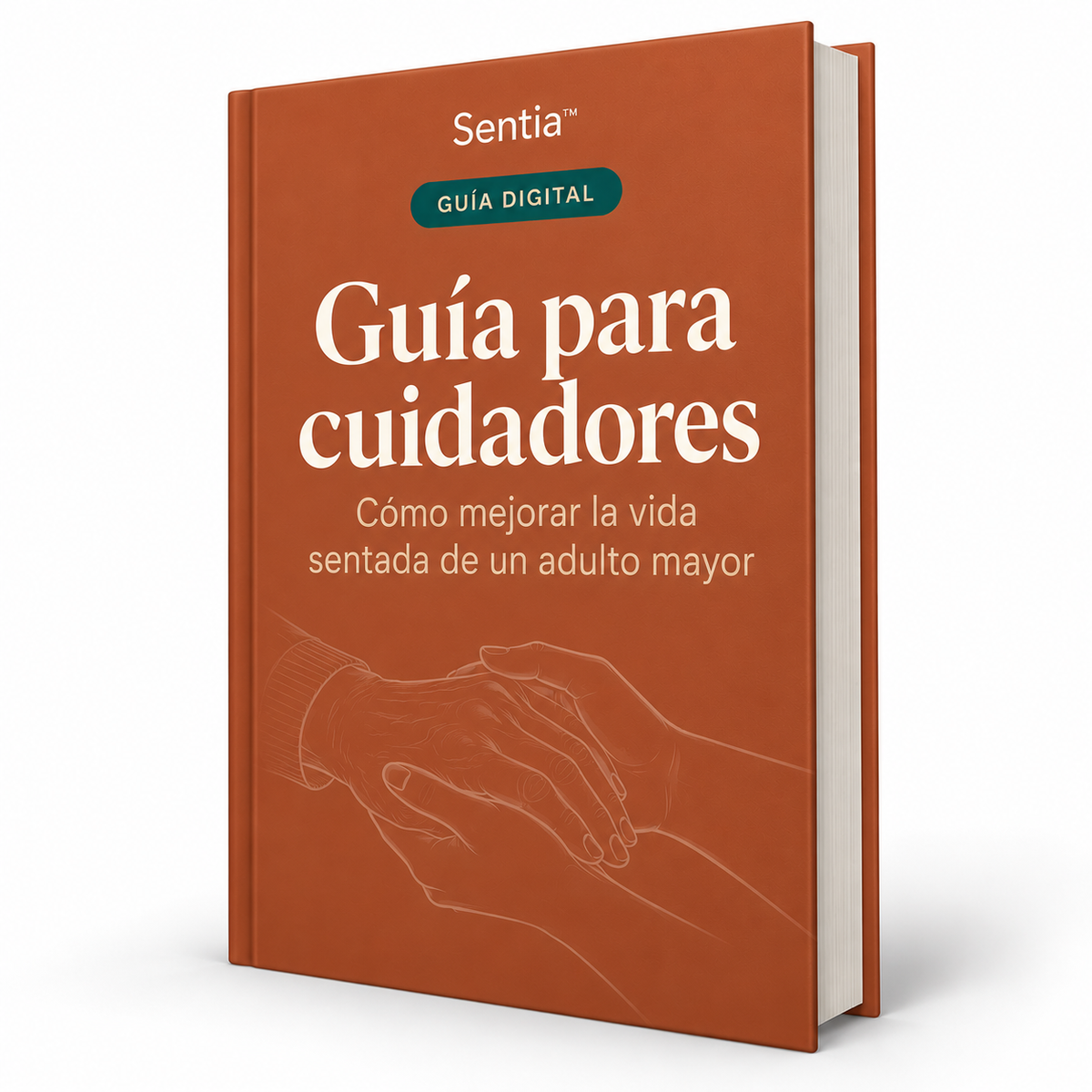 Ebook: Guía para cuidadores — cómo mejorar la vida sentada de un adulto mayor
